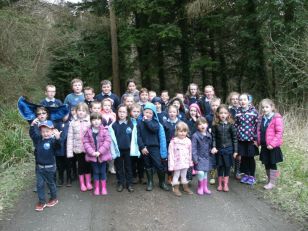 Sponsored Walk around Glenarm Forest